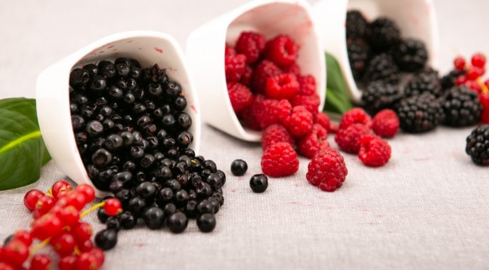 Misterioasele proprietati ale fructelor de padure