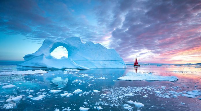 Schimbarile climatice vin cu boli mortale