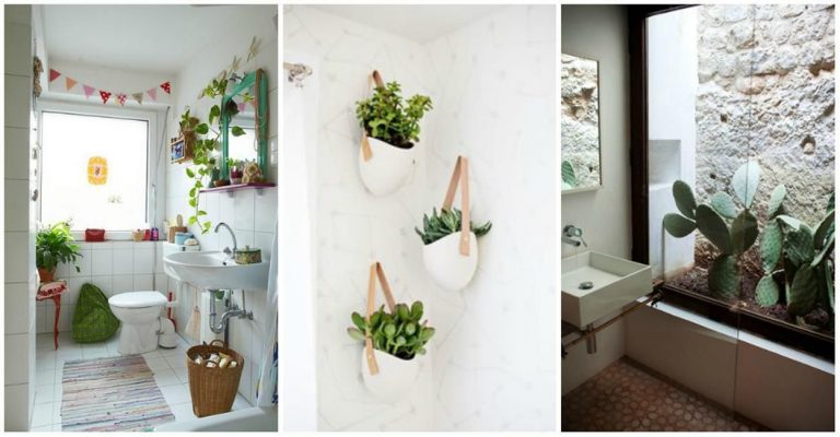 Decorare baie si bucatarie