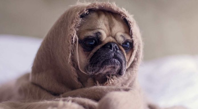 Te simti neapreciat? Moduri prin care poti scapa de aceasta durere