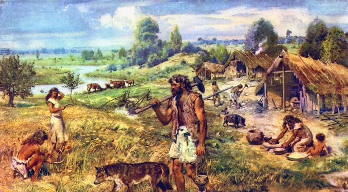 Dezavantajele neasteptate ale revolutiei agricole