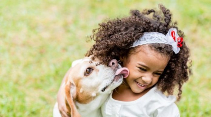 Beneficiile animalelor de companie pentru copii