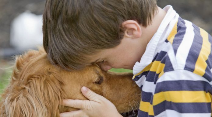 Beneficiile legaturii dintre copii si animale de companie