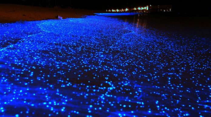 Locuri uimitoare din natura