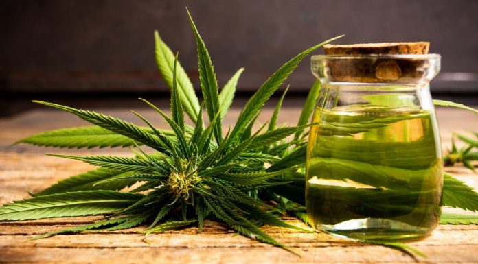 Beneficiile canabisului pentru sanatate pe care toata lumea ar trebui sa le cunoasca