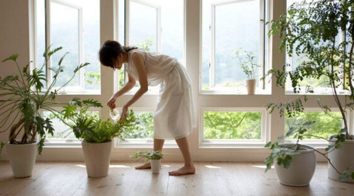 6 moduri naturale de curatare a aerului interior