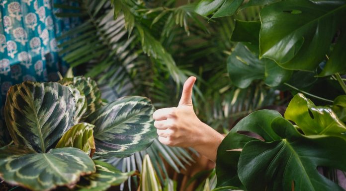 212 Citate Motivationale Amuzante Inspirationale Si Motivationale
