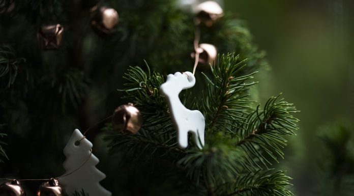 255 Mesaje De Craciun