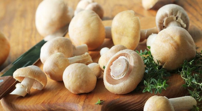 3 retete cu ciuperci cu continut scazut de calorii