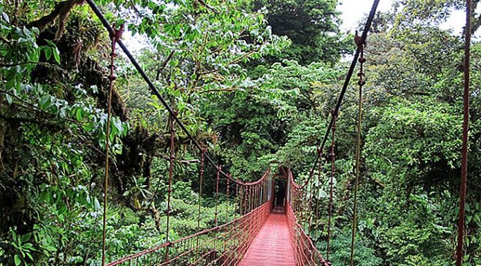 Top 11 sfaturi pentru a calatori in Costa Rica